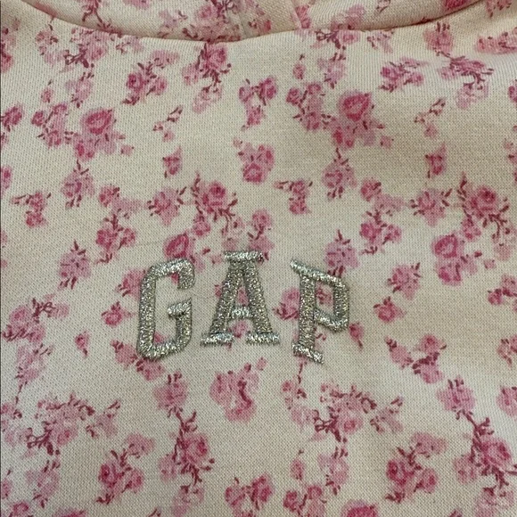 NWT GAP x Love Shack Fancy Pink Floral Hoodie and Joggers Sz XXL - Picture 2 of 13